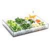 Cal-Mil Plastics 1399-12 Ice Display Tray, Decorative